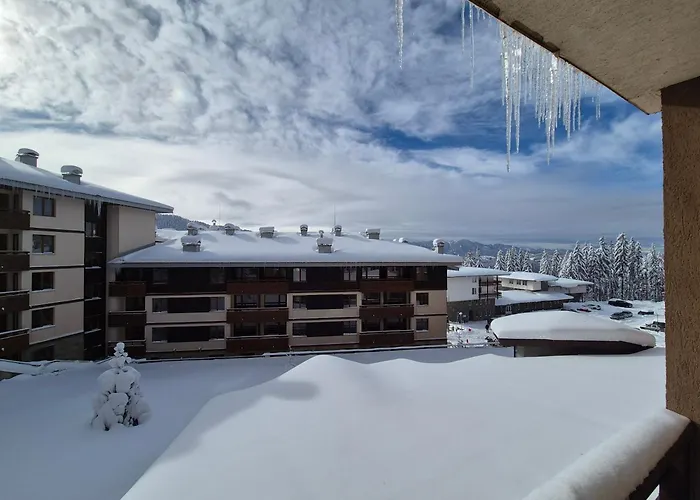 Saphir , Rhodopi Pearl * Pamporowo